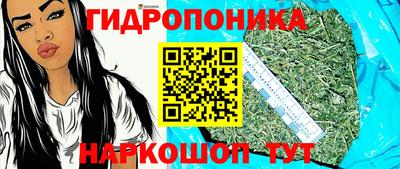 спиды Гусь-Хрустальный