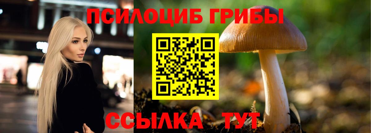 Псилоцибиновые грибы мицелий Арсеньев